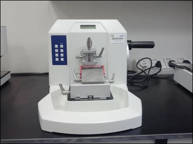 histologi2