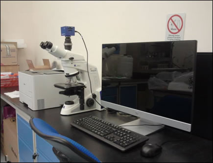histologi6