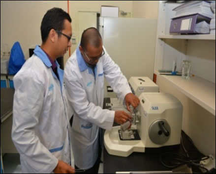 histologi7